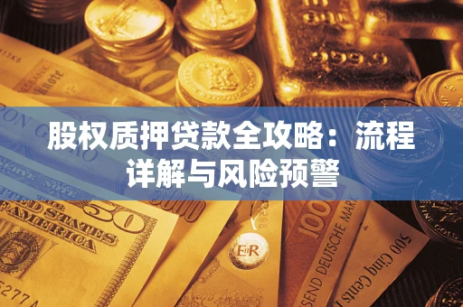 武汉股权质押贷款全攻略：流程详解与风险预警