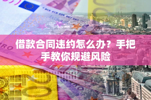 武汉借款合同违约怎么办？手把手教你规避风险