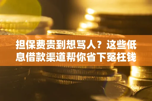 武汉担保费贵到想骂人？这些低息借款渠道帮你省下冤枉钱