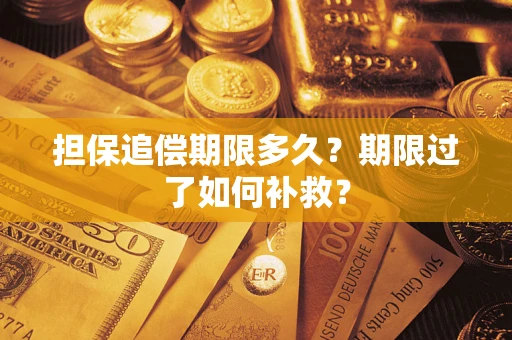 武汉担保追偿期限多久？期限过了如何补救？