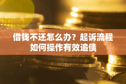武汉借钱不还怎么办？起诉流程如何操作有效追债