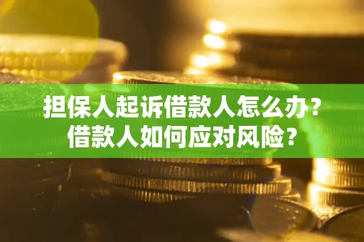 武汉担保人起诉借款人怎么办？借款人如何应对风险？