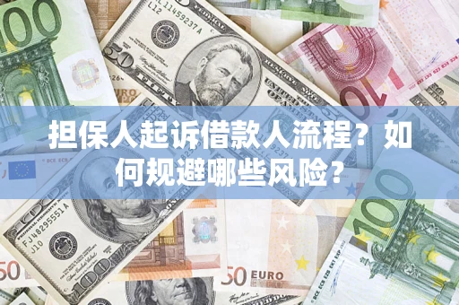 武汉担保人起诉借款人流程？如何规避哪些风险？