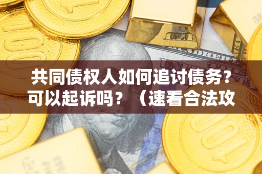 武汉共同债权人如何追讨债务？可以起诉吗？（速看合法攻略）