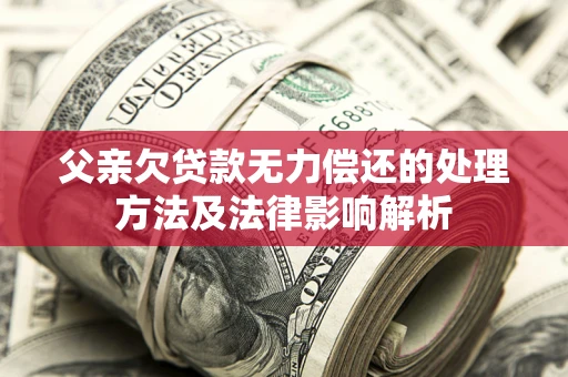 武汉父亲欠贷款无力偿还的处理方法及法律影响解析