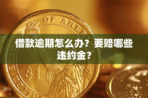 武汉借款逾期怎么办？要赔哪些违约金？