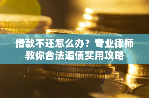 武汉借款不还怎么办？专业律师教你合法追债实用攻略