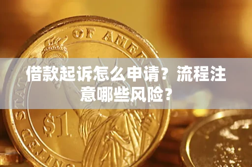 武汉借款起诉怎么申请？流程注意哪些风险？