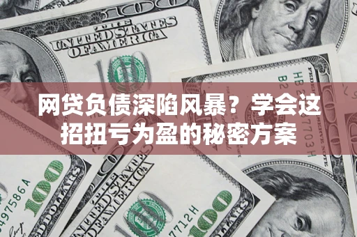 武汉网贷负债深陷风暴？学会这招扭亏为盈的秘密方案