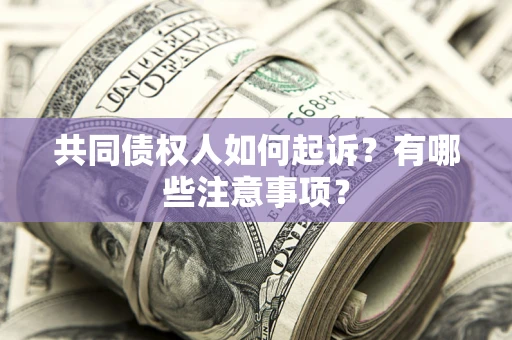 武汉共同债权人如何起诉？有哪些注意事项？